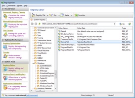 Reg Organizer v9.30 for Windows feature
